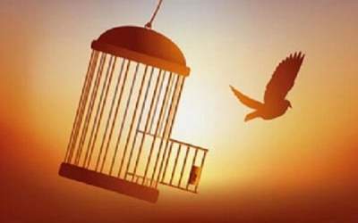 نیکوکار شیرازی ۱۲ زندانی را از زندان کاشان آزاد کرد