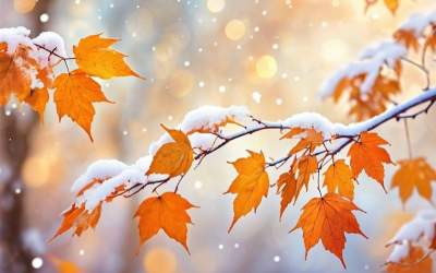 ورود سامانه بارشی به کشور از یکشنبه