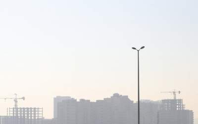 با این خوراکی‌ها در هوای آلوده ایمن شوید