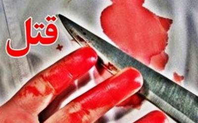 تشریح جزئیات ۲ قتل خانوادگی در پایتخت