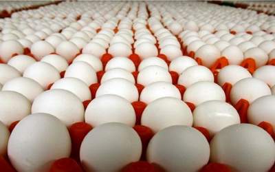 فیلم/ گرانفروشی در بازار تخم مرغ  <img src="https://cdn.jahannews.com/images/video_icon.png" width="16" height="16" border="0" align="top">