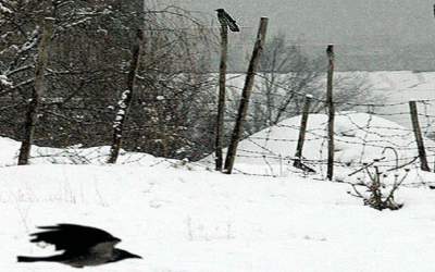 سرسره بازی یک کلاغ روی برف!  <img src="https://cdn.jahannews.com/images/video_icon.png" width="16" height="16" border="0" align="top">