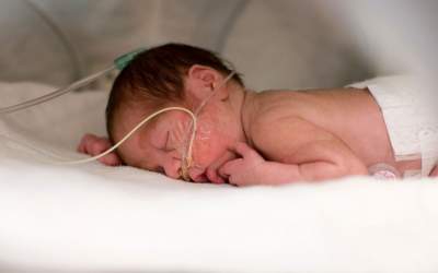 مزایای شیر مادر در طول عمر با فرزند خواهد بود