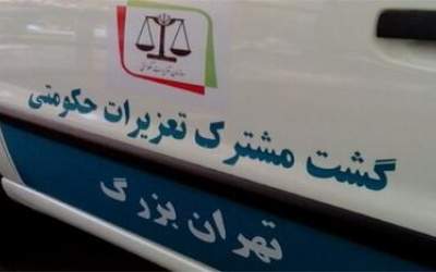 اینجا گنجشک را به‌جای قناری می‌فروشند!  