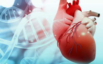 خطر بیماری قلبی چگونه افزایش می‌یابد؟