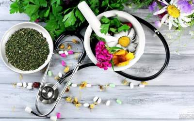 کارگاه آموزشی «تدابیر طب سنتی در سلامت بانوان» برگزار می‌شود