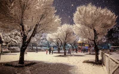 این ۸ استان منتظر برف و باران باشند