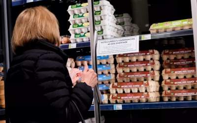 سرقت بار ۴۰ هزار دلاری تخم مرغ در آمریکا!