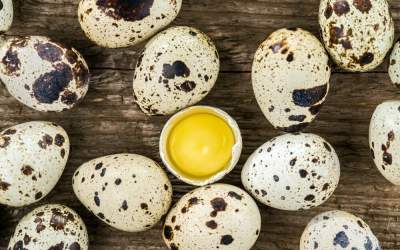 خواص بی‌نظیر تخم بلدرچین