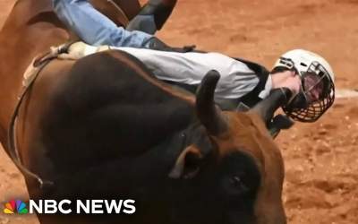 ویدیوی دلخراش از گاوبازی یک جوان  <img src="https://cdn.jahannews.com/images/video_icon.png" width="16" height="16" border="0" align="top">