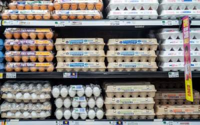 وقتی تخم‌مرغ آبروی دولت آمریکا را می‌برد!