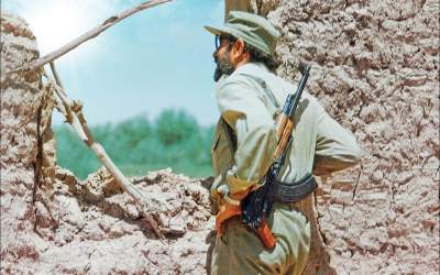 ماجرای پروانه‌ای که طاقتش در کنار شهید چمران طاق شد