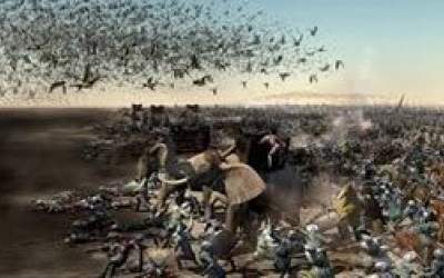 فیلم/ عاقبت اصحاب فیل چه شد؟  <img src="https://cdn.jahannews.com/images/video_icon.png" width="16" height="16" border="0" align="top">