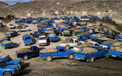 فیلمی عجیب از حجم قاچاق سوخت  <img src="https://cdn.jahannews.com/images/video_icon.png" width="11" height="10" border="0" align="top">