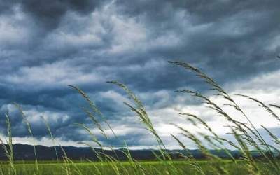 هشدار وزش باد گرم و افزایش دما در ۳ استان