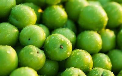 علت قیمت نجومی گوجه سبز در بازار چیست؟