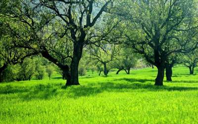 اینجا نگین سبز کهگیلویه‌ و بویراحمد است  <img src="https://cdn.jahannews.com/images/video_icon.png" width="11" height="10" border="0" align="top">