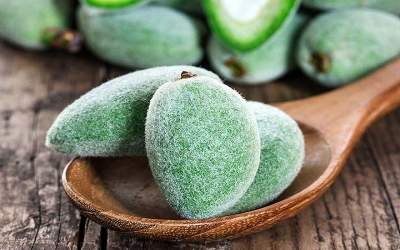 قیمت هر کیلوگرم چغاله بادام چند شد؟