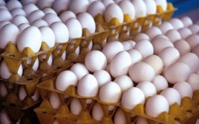 تخم مرغ مرغداری به کیلویی ۲۵ هزار تومان رسید