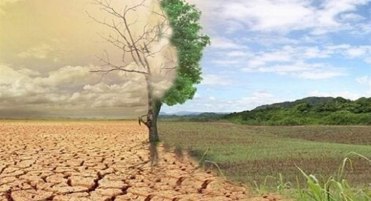 رابطه گناهان با بلاها و بیماری‌های جسمی چیست؟