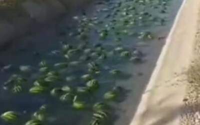 فیلم/ رودخانهٔ هندوانه در بوشهر را ببینید  <img src="https://cdn.jahannews.com/images/video_icon.png" width="11" height="10" border="0" align="top">