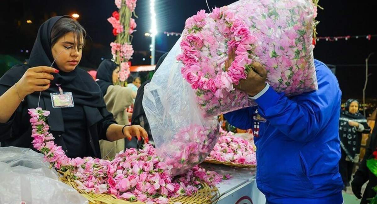 جشنواره گلاب و گلابگیری +تصاویر  