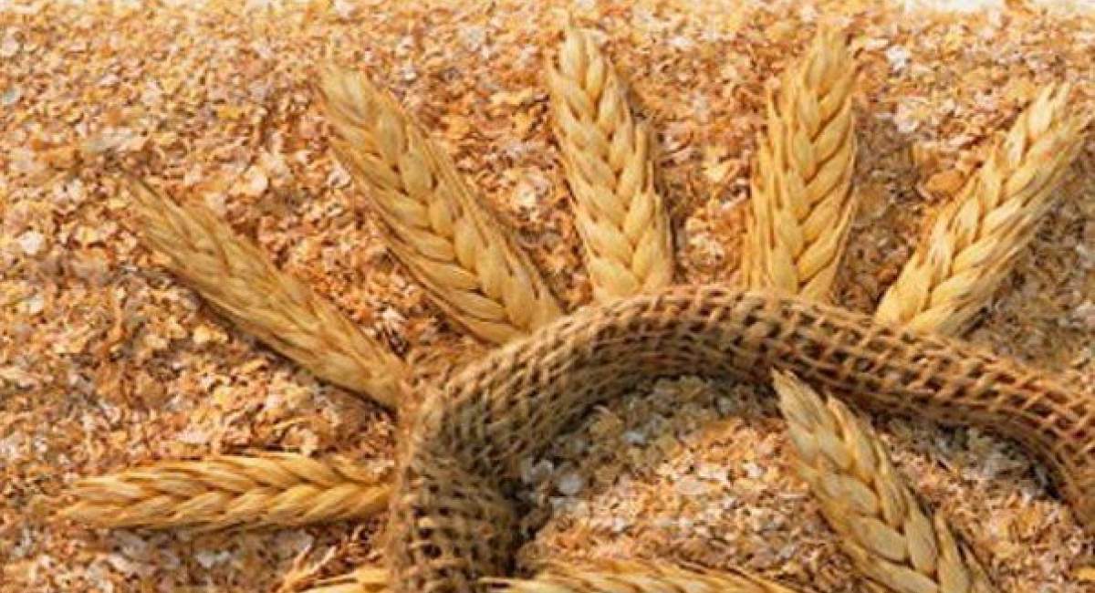 قیمت سبوس گندم آزاد شد