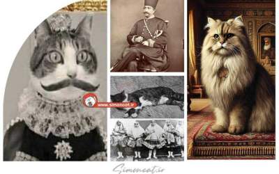 فیلم/ ماجرای گربه محبوب ناصرالدین شاه  <img src="https://cdn.jahannews.com/images/video_icon.png" width="16" height="16" border="0" align="top">
