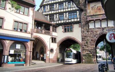 گله گوسفندان به خیابان‌های آلمان آمدند!  <img src="https://cdn.jahannews.com/images/video_icon.png" width="16" height="16" border="0" align="top">