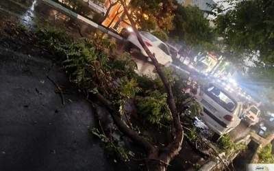 آماری از نقاط حادثه خیز تهران پس از طوفان  <img src="https://cdn.jahannews.com/images/video_icon.png" width="16" height="16" border="0" align="top">
