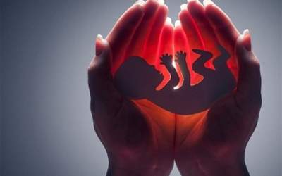 انجام سالانه ۵۰۰ هزار سقط جنین در کشور