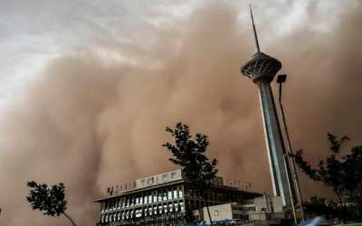 سقوط ۸۳۳ درخت در طوفان تهران