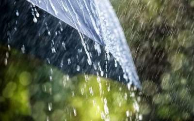 رگبار باران و رعد و برق در ۷ استان