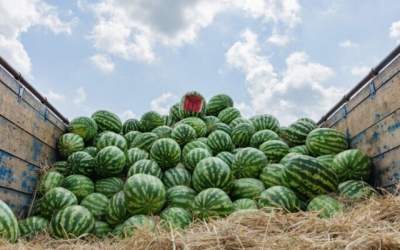 ادعای یک مقام روس درباره هندوانه ایرانی  <img src="https://cdn.jahannews.com/images/video_icon.png" width="16" height="16" border="0" align="top">