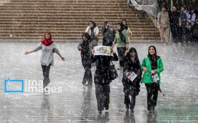 عکس/ عشق به کتاب زیر باران بهاری