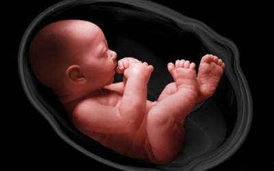 روزانه ۱۲۰۰ نوزاد در کشور اجازه تولد نمی‌گیرند!