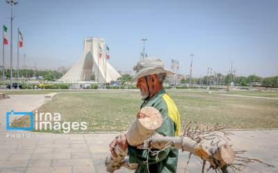 قطع درختان میدان «آزادی»  <img src="https://cdn.jahannews.com/images/picture_icon.png" width="16" height="16" border="0" align="top">