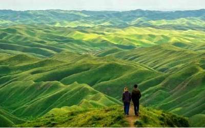 اختصاص تپه برای ساخت زمین مسکن ملی!