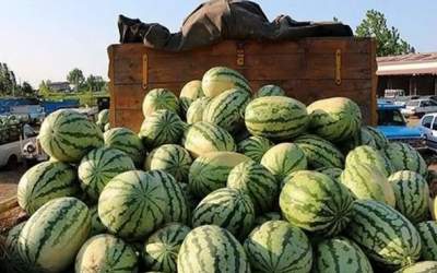 ورود هندوانه و خربزه به عراق ممنوع شد