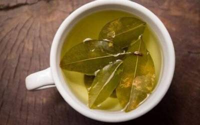 برگ بو این همه خاصیت دارد!