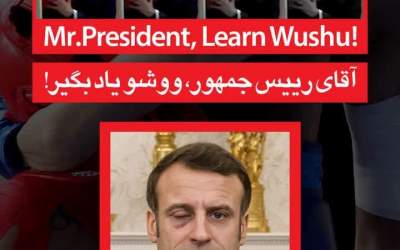 آقای رییس جمهور، ووشو یاد بگیر!