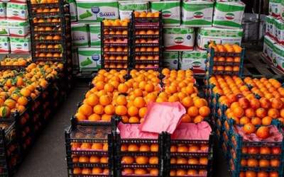 قیمت جدید میوه در تهران اعلام شد +جدول