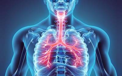 فیلم/ استرس بیماری ریه را تشدید می‌کند؟  <img src="https://cdn.jahannews.com/images/video_icon.png" width="16" height="16" border="0" align="top">