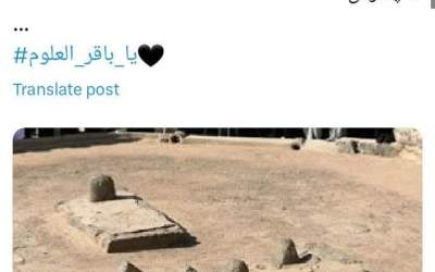 قربان این آقای غریب +عکس