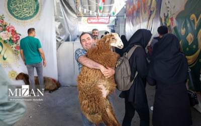 نحوه جدید حمل گوسفند +عکس