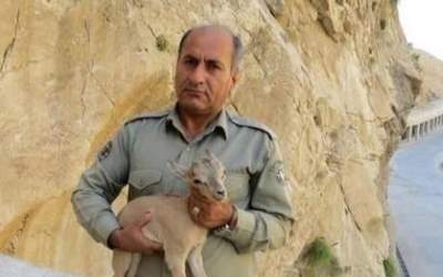 دومین قاتل شهید دیده‌بان دستگیر شد