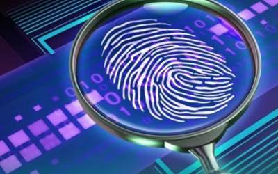 از تناقض نخبگان تا عادی‌سازی جنایت