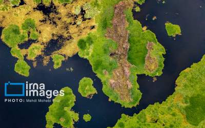 تالاب، اسیر «شیطان بنفش»  <img src="https://cdn.jahannews.com/images/picture_icon.png" width="16" height="16" border="0" align="top">