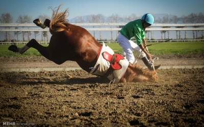 جان باختن چابکسوار در کورس بهاره بندرترکمن  <img src="https://cdn.jahannews.com/images/video_icon.png" width="16" height="16" border="0" align="top">