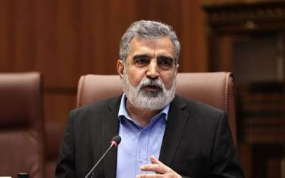 کمالوندی: آژانس انرژی اتمی به اطلاعات جاسوسی استناد می‌کند